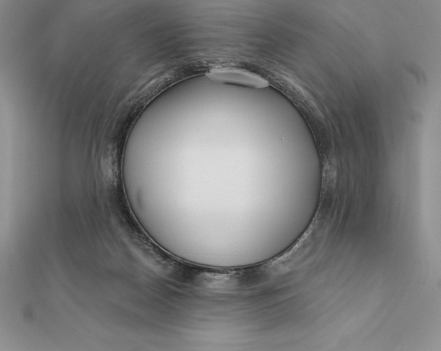 X0000112360170200909031917