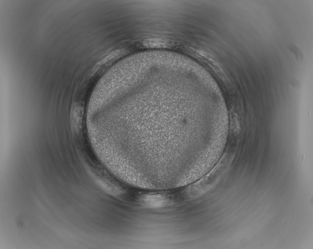X0000112360171200909031917