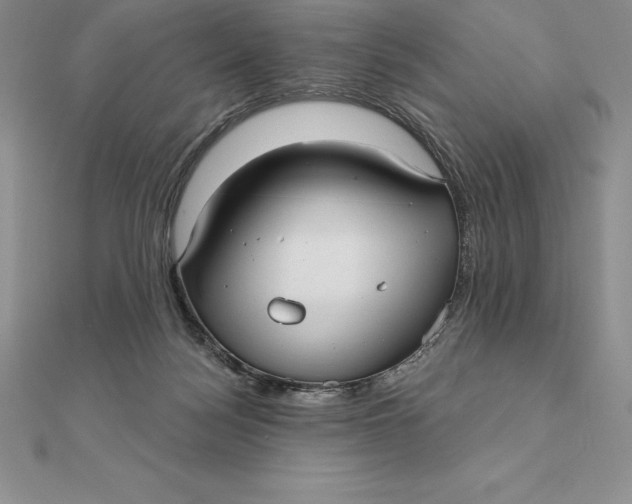 X0000112360172200909031917