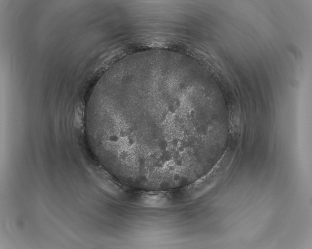 X0000112360175200909031917