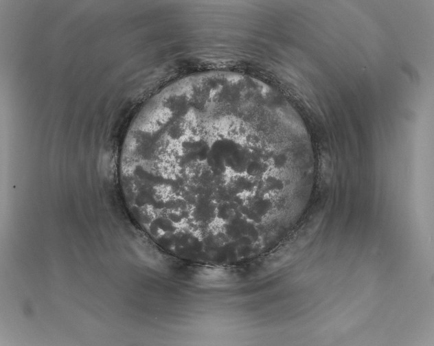 X0000112360177200909031917