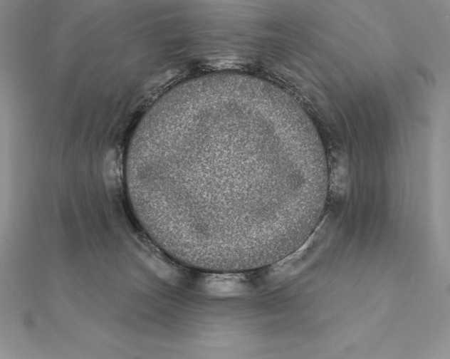 X0000112360179200909031917