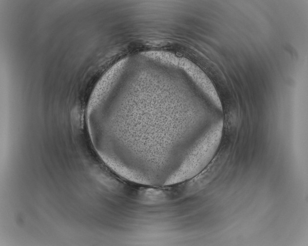 X0000112360180200909031917