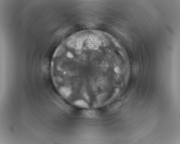 X0000112360181200909031917