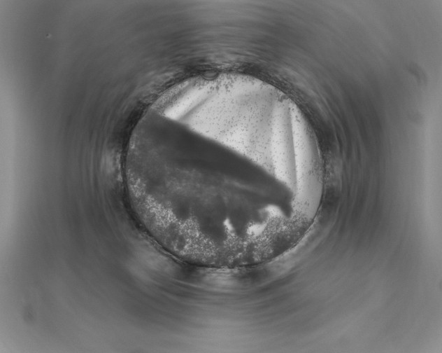 X0000112360182200909031917