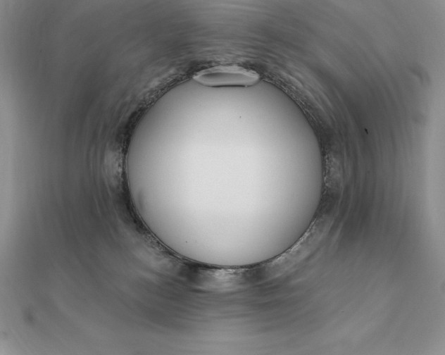 X0000112360184200909031917