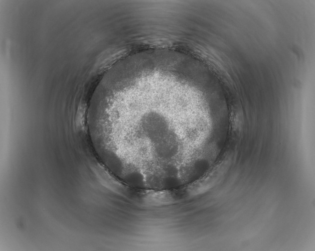 X0000112360185200909031918