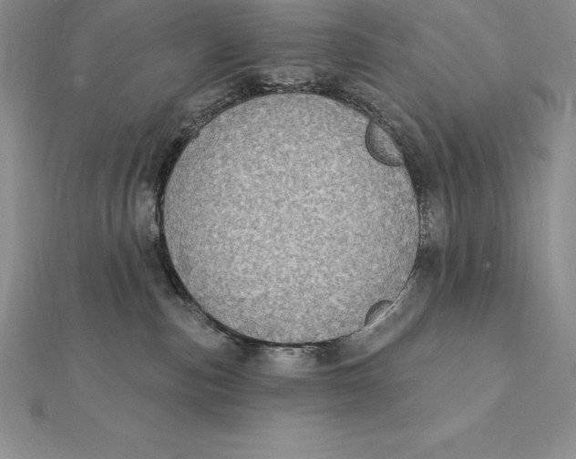 X0000112360187200909031918
