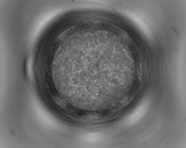 X0000112360189200909031918