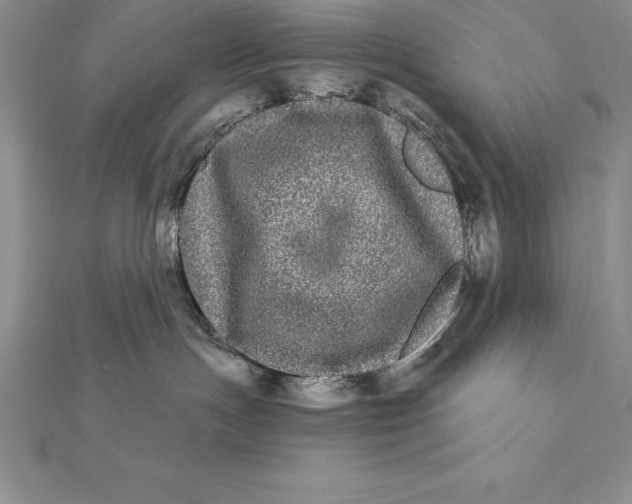 X0000112360191200909031918