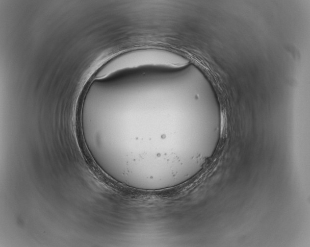 X0000112360195200909031917