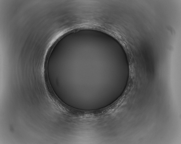 X0000112360196200909031917