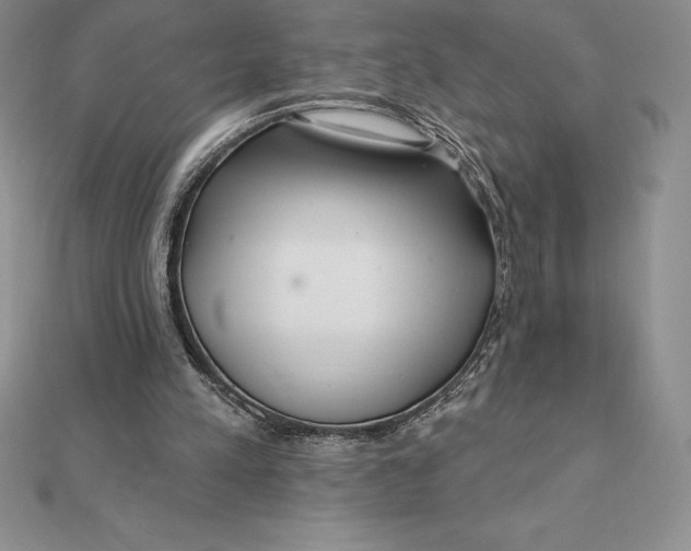 X0000112360197200909031917