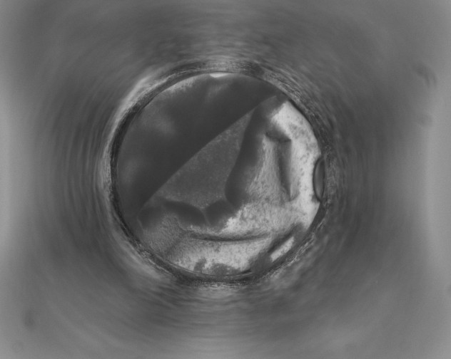 X0000112360198200909031917