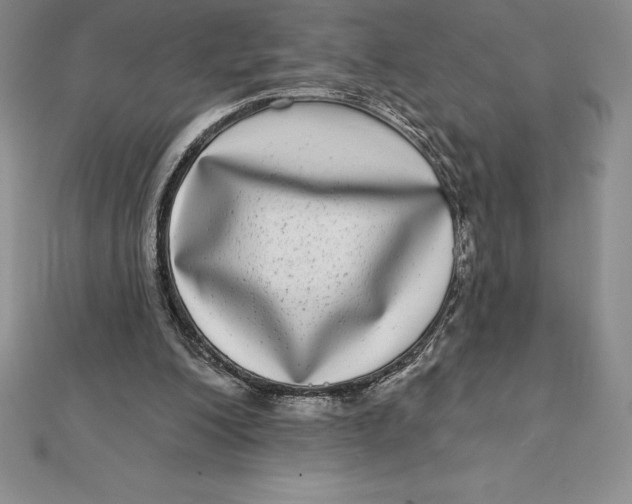 X0000112360200200909031917