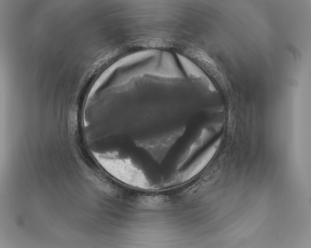 X0000112360202200909031917