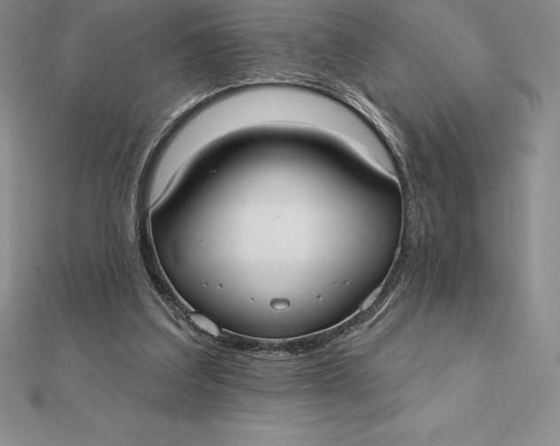 X0000112360203200909031917