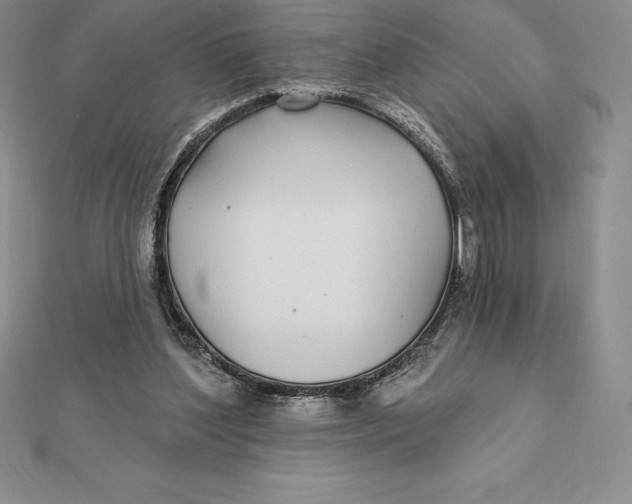 X0000112360204200909031917