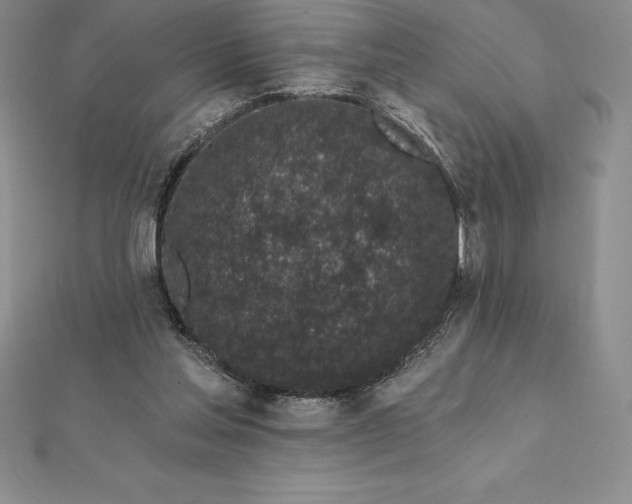 X0000112360205200909031917