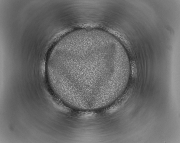 X0000112360206200909031917