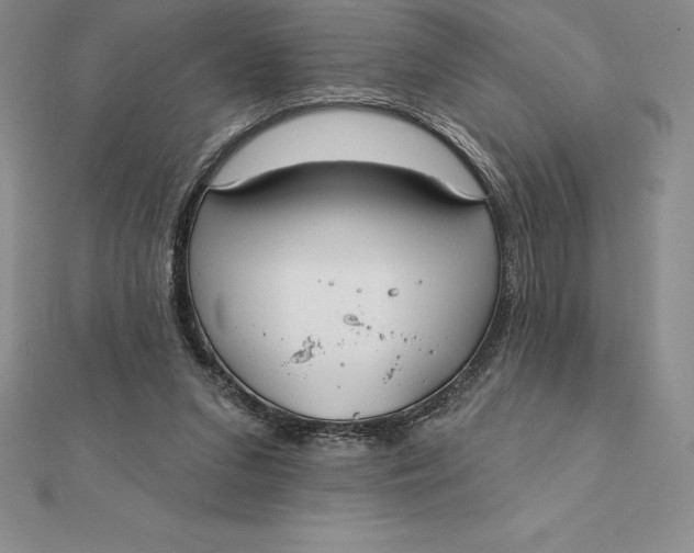 X0000112360207200909031917