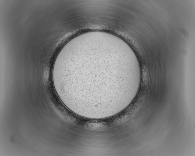 X0000112360208200909031917