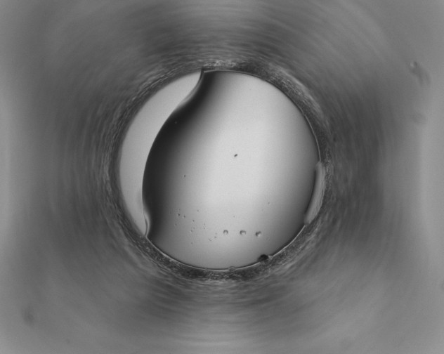 X0000112360209200909031917