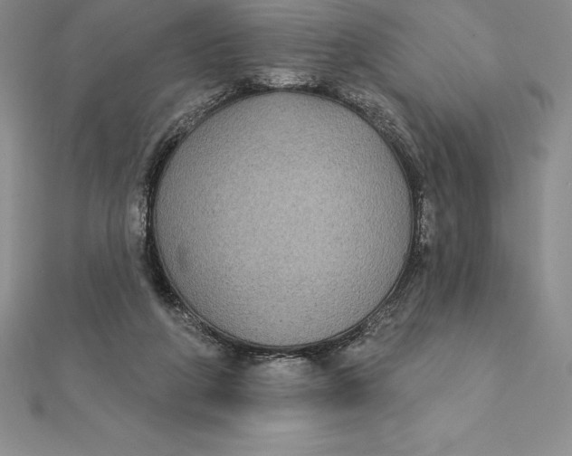 X0000112360210200909031917