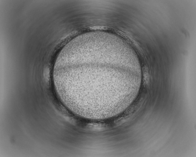 X0000112360211200909031917