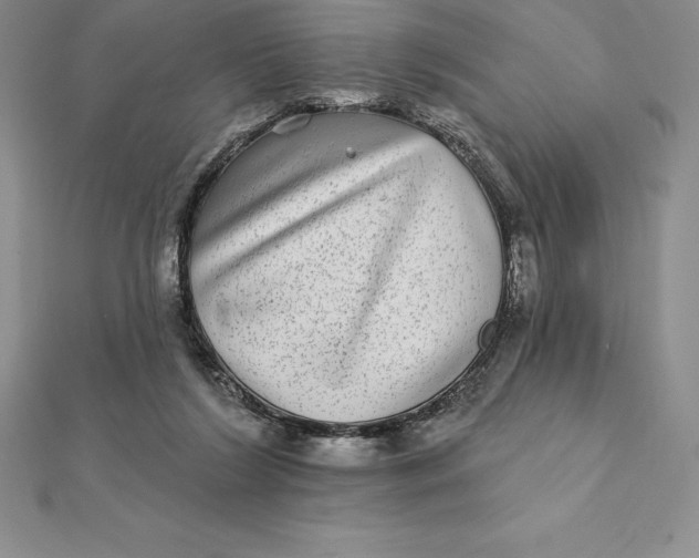 X0000112360212200909031917
