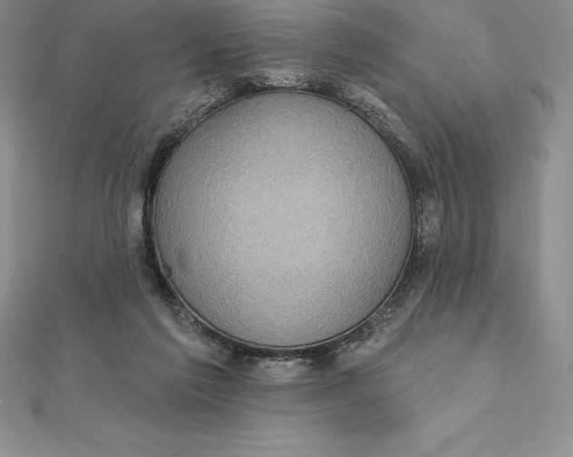 X0000112360213200909031917
