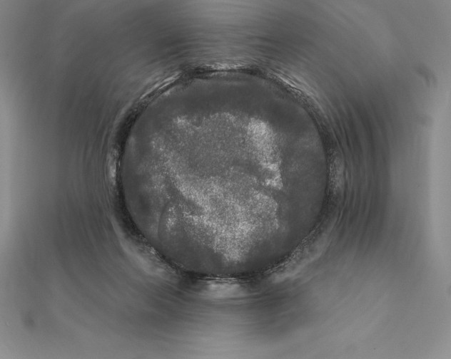 X0000112360214200909031917