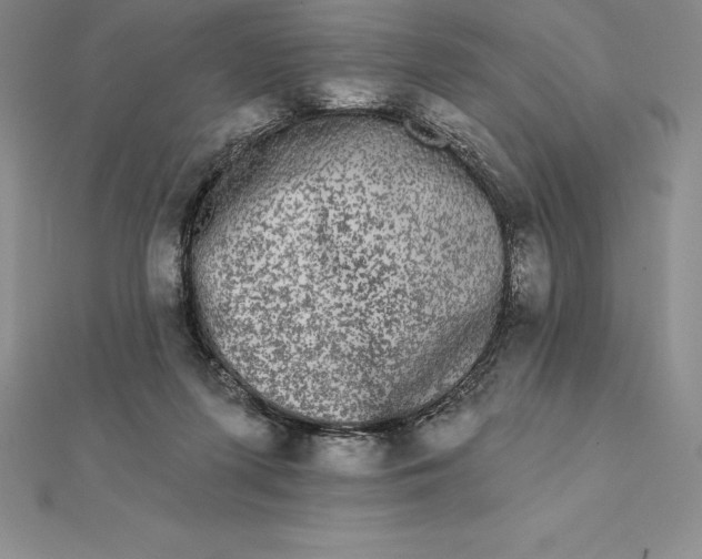 X0000112360215200909031917
