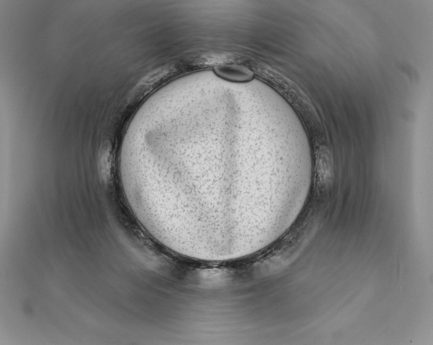 X0000112360216200909031917