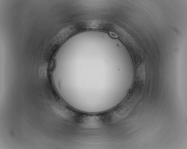 X0000112360217200909031917