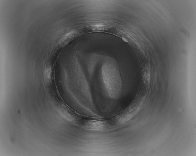 X0000112360219200909031917