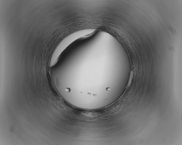 X0000112360221200909031917