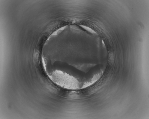 X0000112360222200909031917