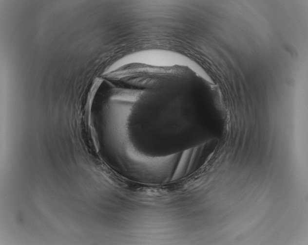 X0000112360223200909031917