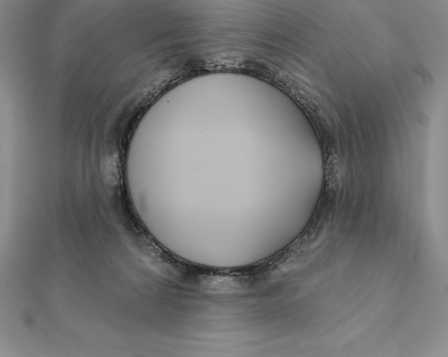 X0000112360224200909031917