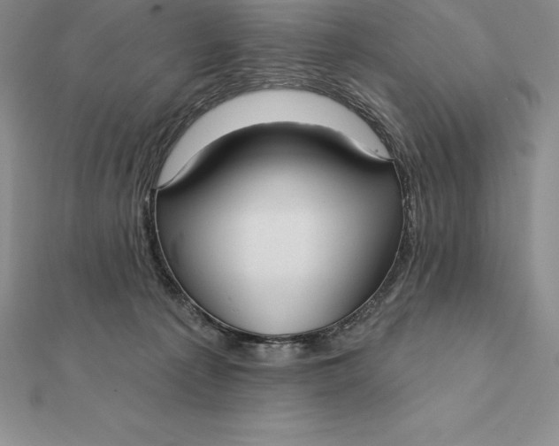 X0000112360225200909031917