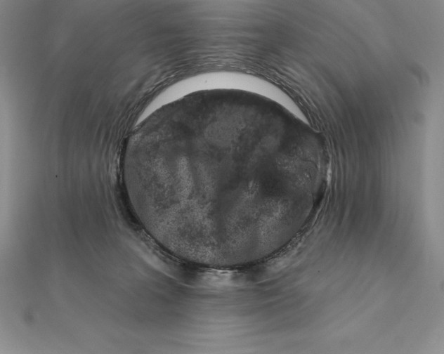 X0000112360227200909031917