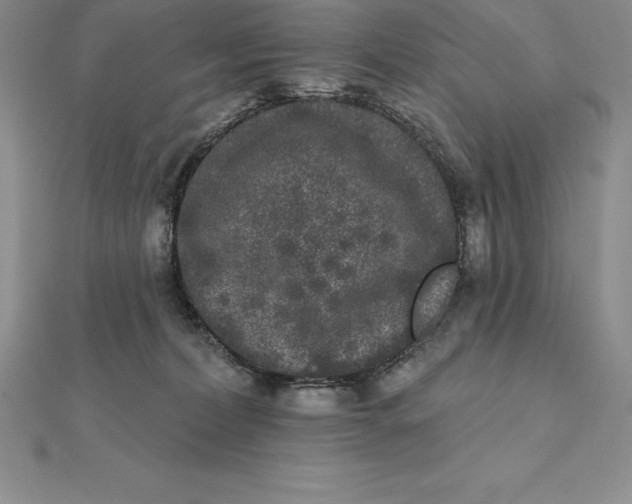 X0000112360228200909031917