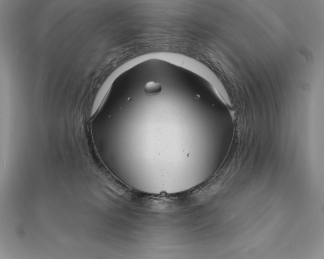 X0000112360229200909031917