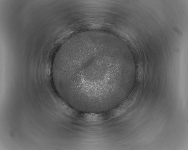 X0000112360230200909031917