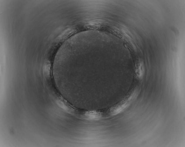 X0000112360231200909031917
