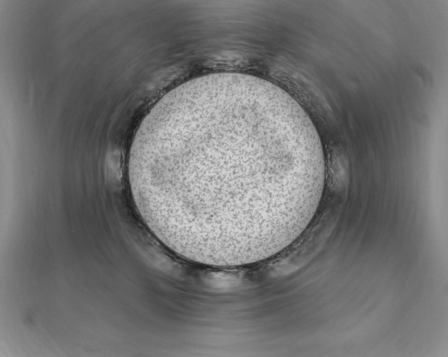 X0000112360232200909031916