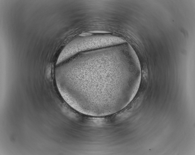 X0000112360233200909031916