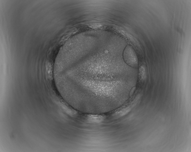 X0000112360234200909031916