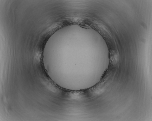 X0000112360235200909031916